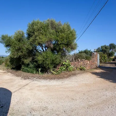A Contatto Con La Natura - * אורוסיי
